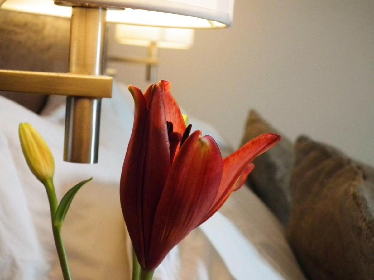 Hotel K باهيا انغليسا المظهر الخارجي الصورة